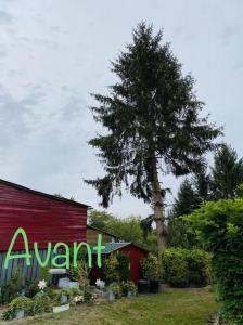 Abattage d’un sapin sur la commune de Guyencourt-Sur-Noye